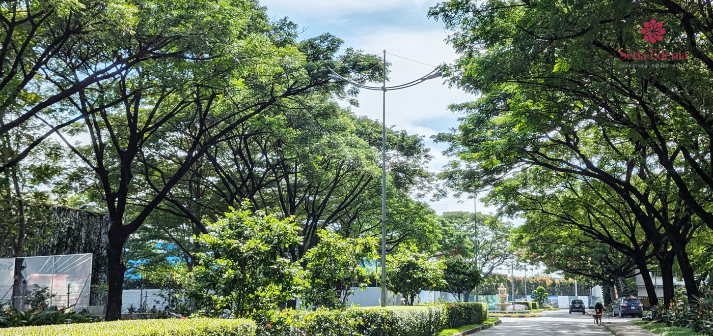 Căn Hộ Setia Edenia - Ốc Đảo Xanh Quý Hiếm